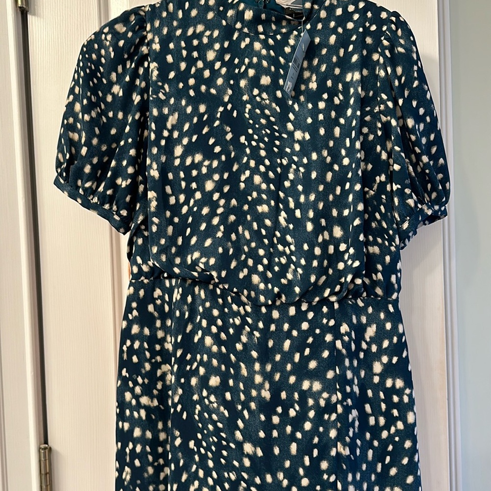Mid-length Short Sleeve - Puff Ann Taylor Teal and White Pattern Dress